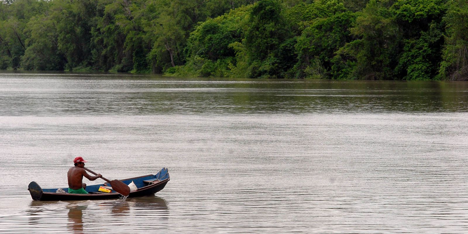 Amazônia Legal terá recursos para projetos de bioeconomia – finanças brasil