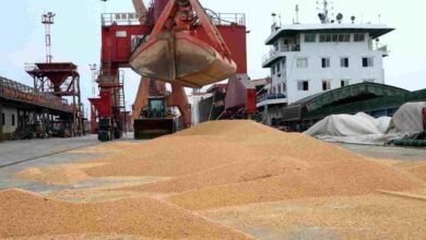 Importações de soja do Brasil pela China aumentam 11,7% em abril ano a ano