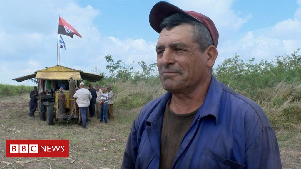 Açúcar em Cuba: por que indústria regrediu 2 séculos em 5 anos