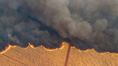 Incêndios em SP impactam preços do açúcar na bolsa de Nova York