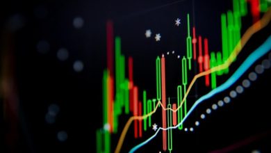 As empresas que pagam dividendos entre 17 e 21 de fevereiro de 2025